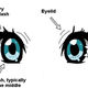 Illustration for article titled A Serious Look at Big Anime Eyes